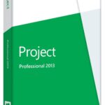 Microsoft Project Professional 2013