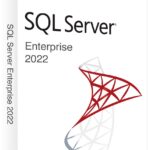 Microsoft SQL Server 2022 Enterprise