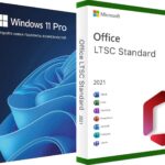 Windows 11 Pro (Профессиональная) + Microsoft Office 2021 LTSC Standard (Стандартный)